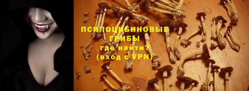 Галлюциногенные грибы Magic Shrooms  Киржач 